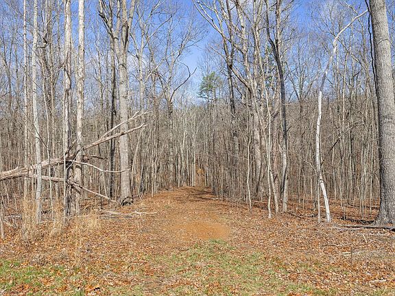 2nd image of 8283 Bear Paw Trl #107