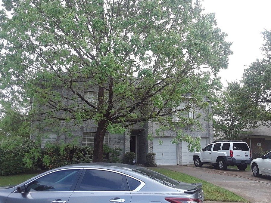1st image of 3626 Corinne Ct
