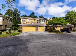 8174 Stone View Dr, Tampa, FL 33647