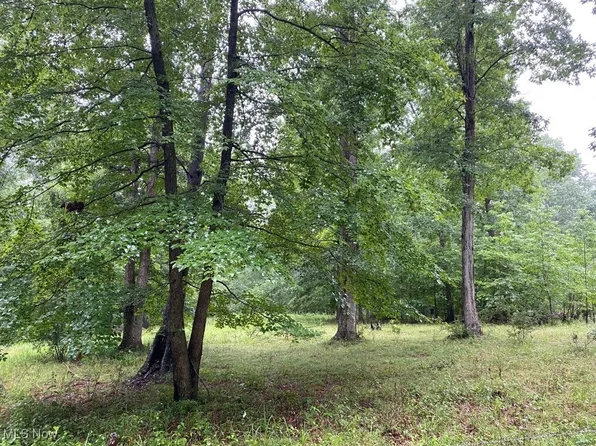 Dicks Run, Reedy, WV 25270