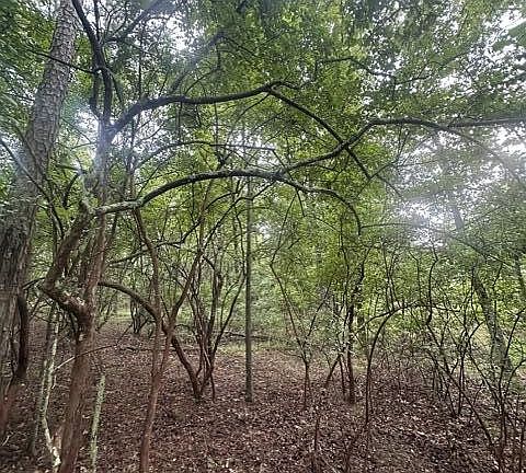 3rd image of 108 Chesadu Cir Lot 108