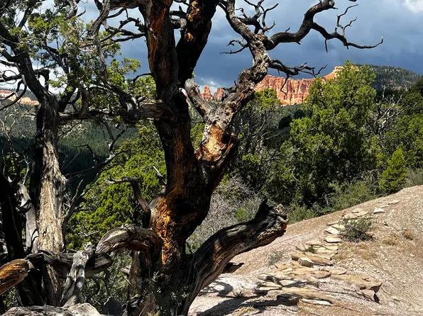 W End Ave, Kanab, UT 84741