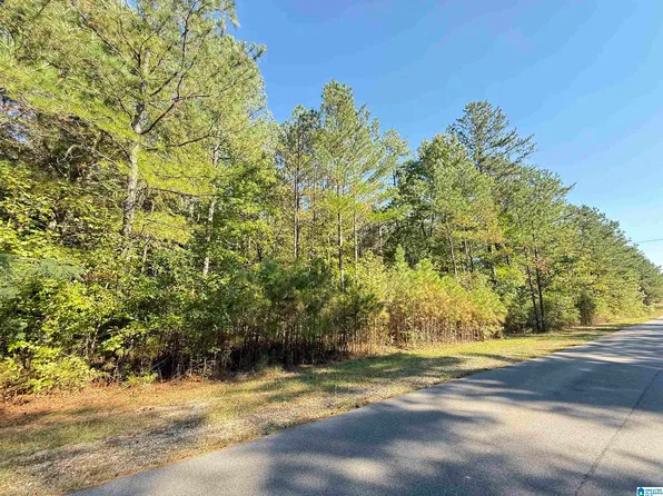 40 Turkey Trail Rd #47, Odenville, AL 35120