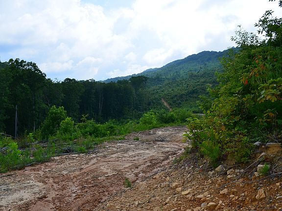 2nd image of 434 Acres Pressmens Home Rd