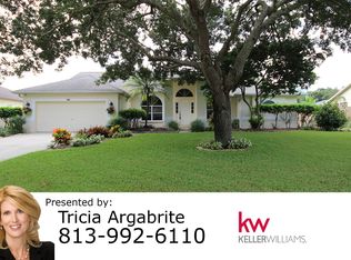 3956 Appletree Dr, Valrico, FL 33594