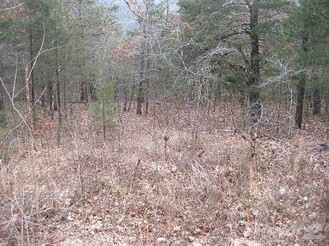 Nicely Wooded Lot