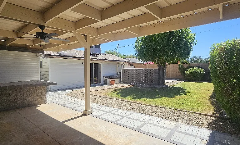 Backyard