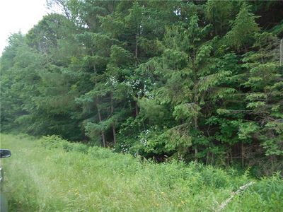 (Undisclosed Address), Bainbridge, NY, 13733