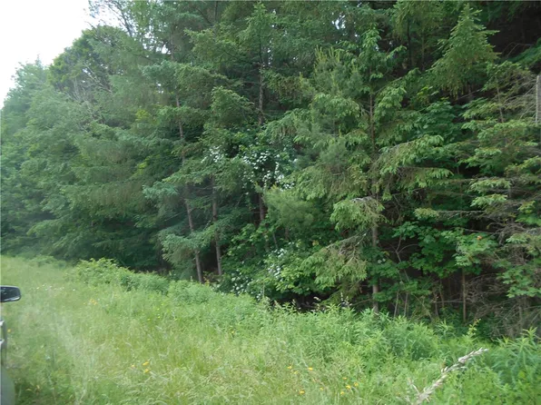 (undisclosed Address), Bainbridge, NY 13733