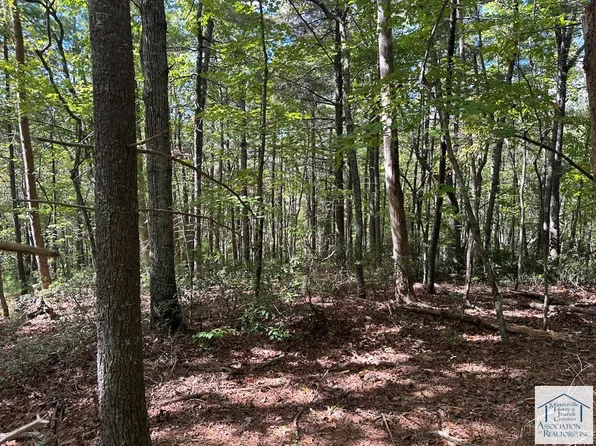 0 Goosepoint Rd, Stuart, VA 24171