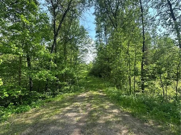 31.54 Acres Timber Wolf Drive, Hayward, WI 54843