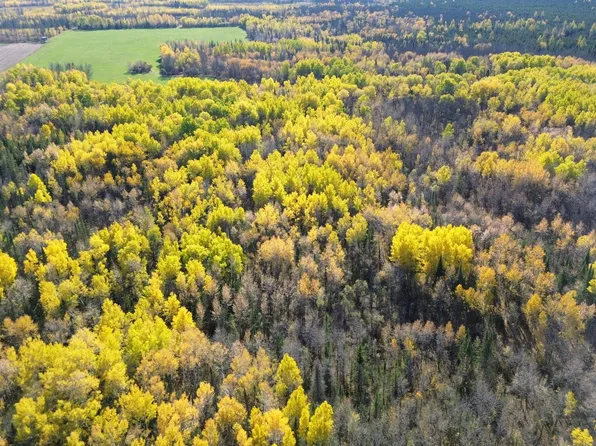 124th St NE, Deer River, MN 56636