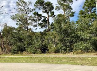 2691 Ivydale Dr, Deltona, FL 32725