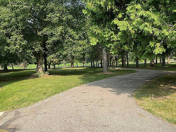 Tree lined circle driveway 