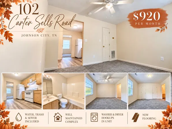 102 Carter Sells Rd, Johnson City, TN 37604
