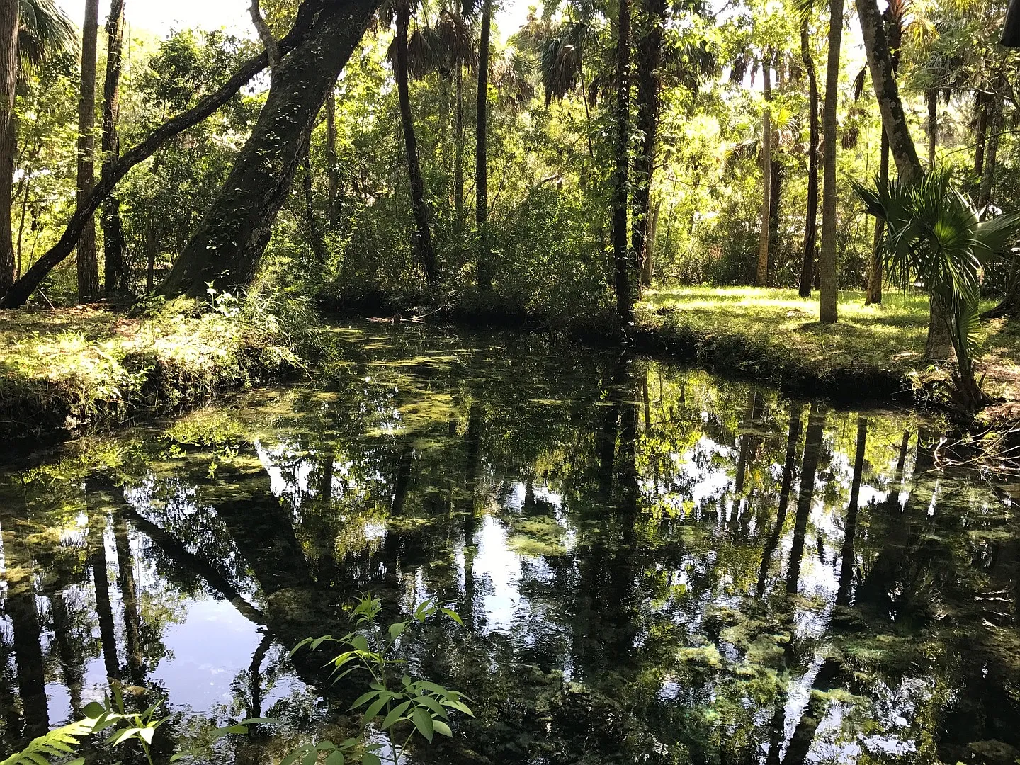 1/1 Waterfront Cabin with Headspring on Property in Homosassa — Photo 3