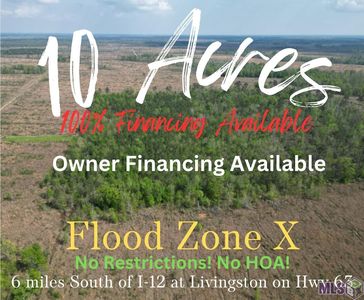 State Highway 63, Livingston, LA, 70754