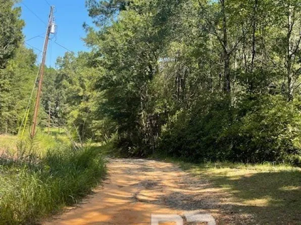 0 Mims Rd, Chunchula, AL 36521