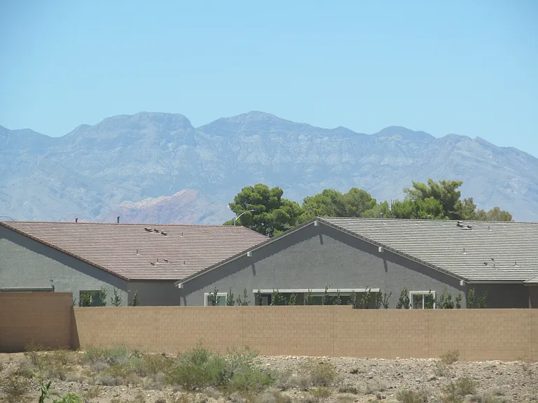7026 Dandelion Park Ave — Photo 38
