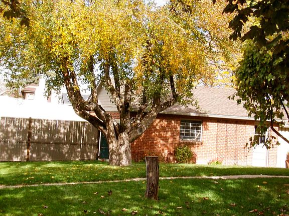 West Side Yard Facing North