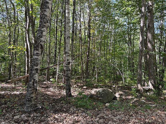 2nd image of L 35-3 Jones Hill Road
