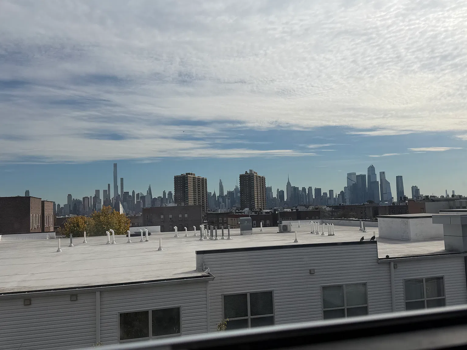 1 bed, 550 sqft, $1,950 — Photo 3