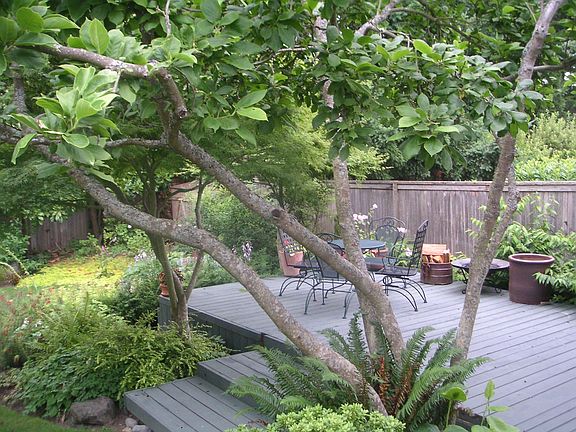 Back deck