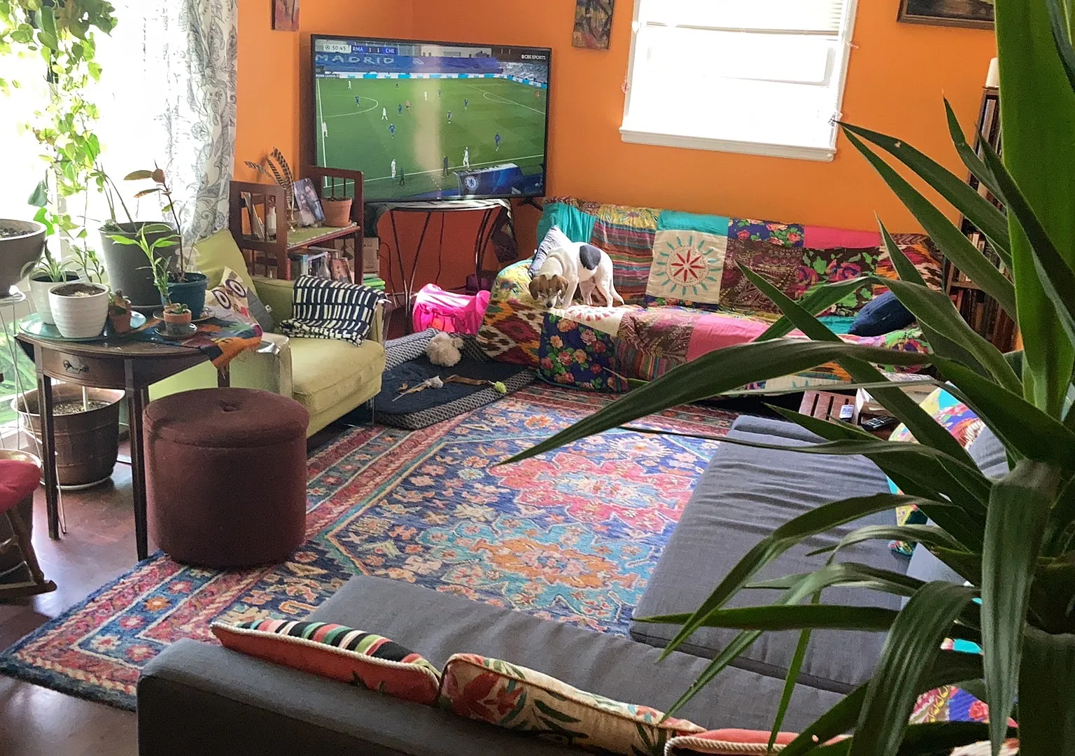 3 bed, 1017 sqft, $800 — Photo 4