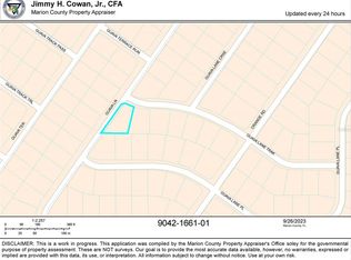Guava Ln LOT 1, Ocklawaha, FL 32179