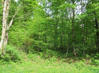 0 Simpson Rd, McDonough, NY 13801