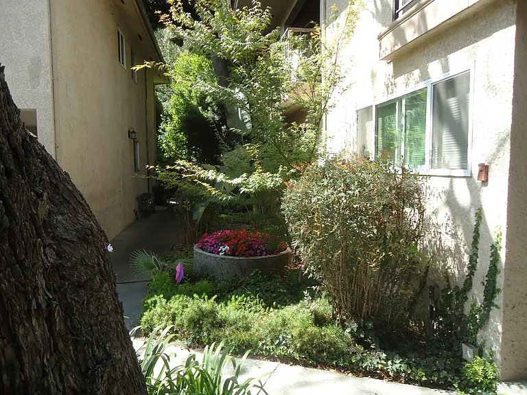 87 Glen Eyrie Ave — Photo 9