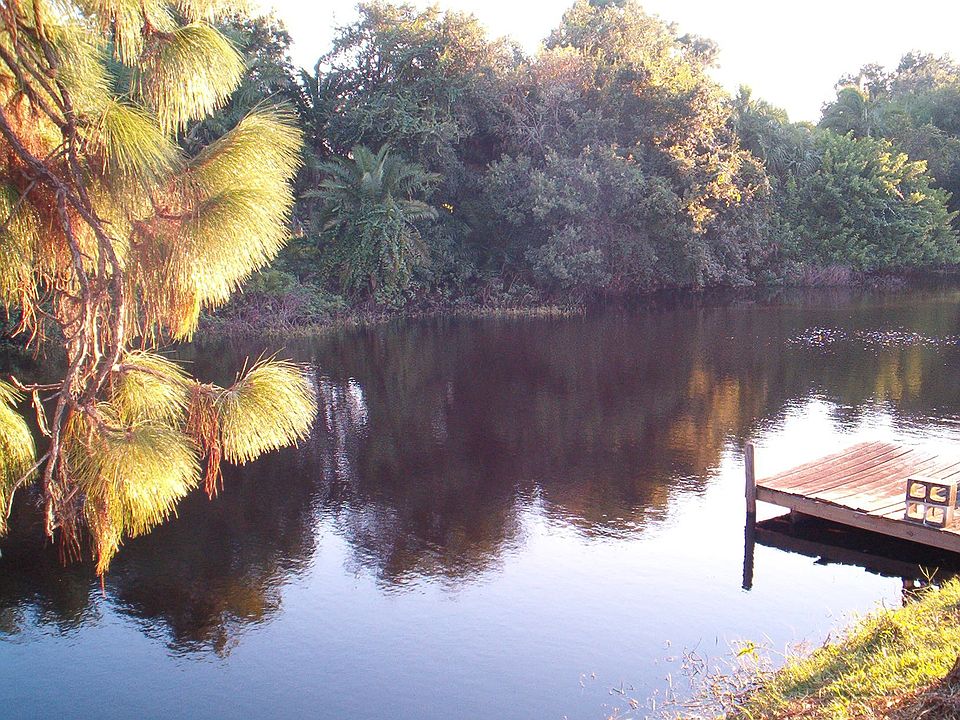 BEAUTIFUL BACKYARD VIEW
