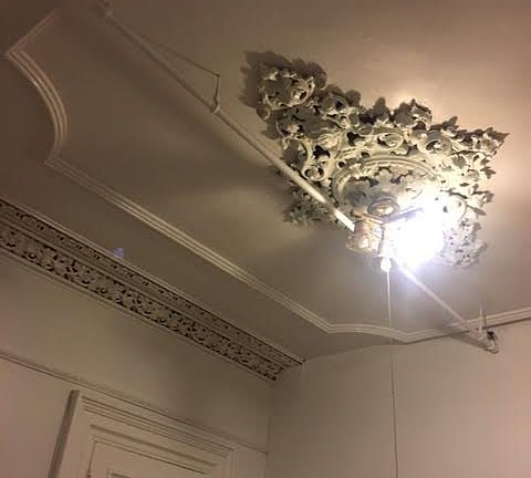5th image of 68 Fort Greene Pl APT 3