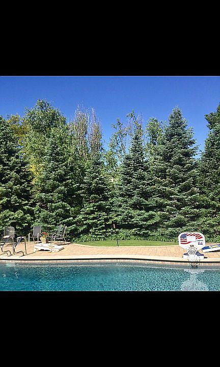 Private Backyard