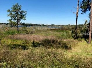30339 Desota Ln, Wesley Chapel, FL 33545