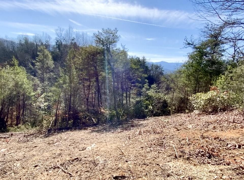 2nd image of 34 Pinnacle Vista Rd Lot 34