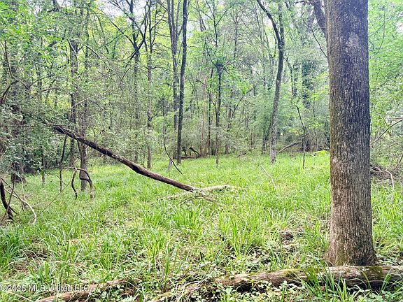 5th image of Clinton Tinnin Rd