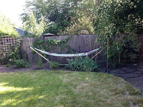spacious and relaxing backyard