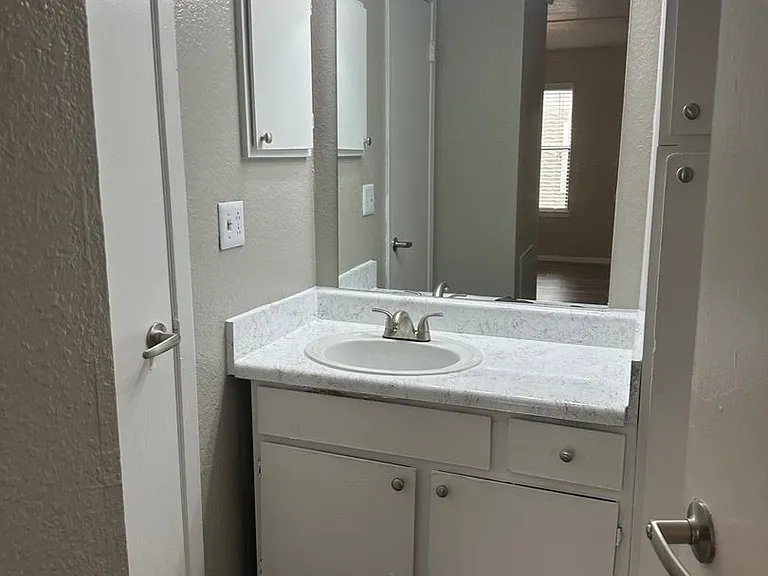 1205 Park Vista Dr #2501 — Photo 4