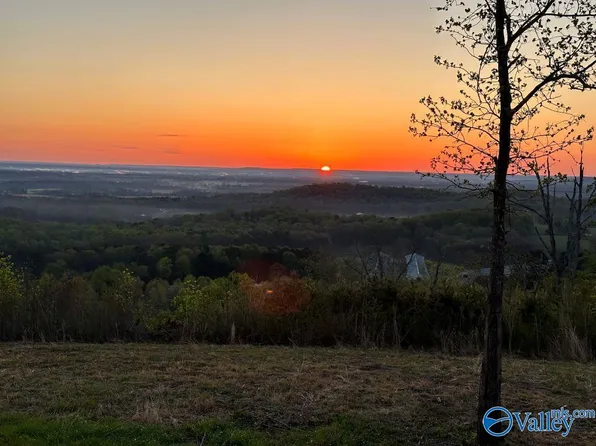 County Road 200, Danville, AL 35619