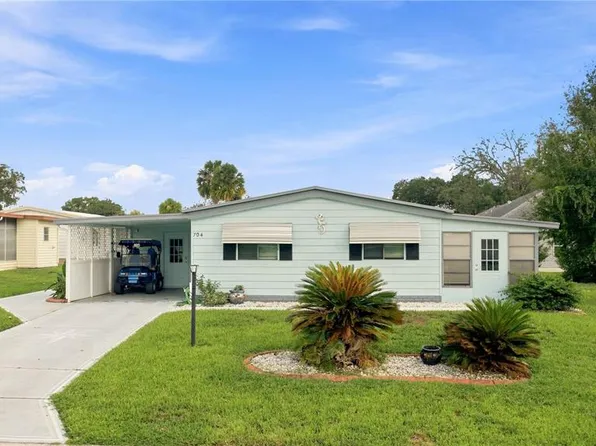704 ROSEAPPLE AVENUE, LADY LAKE, FL 32159