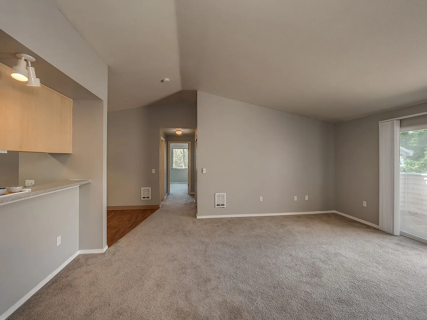 Ground Level - One Bedroom!! — Photo 2