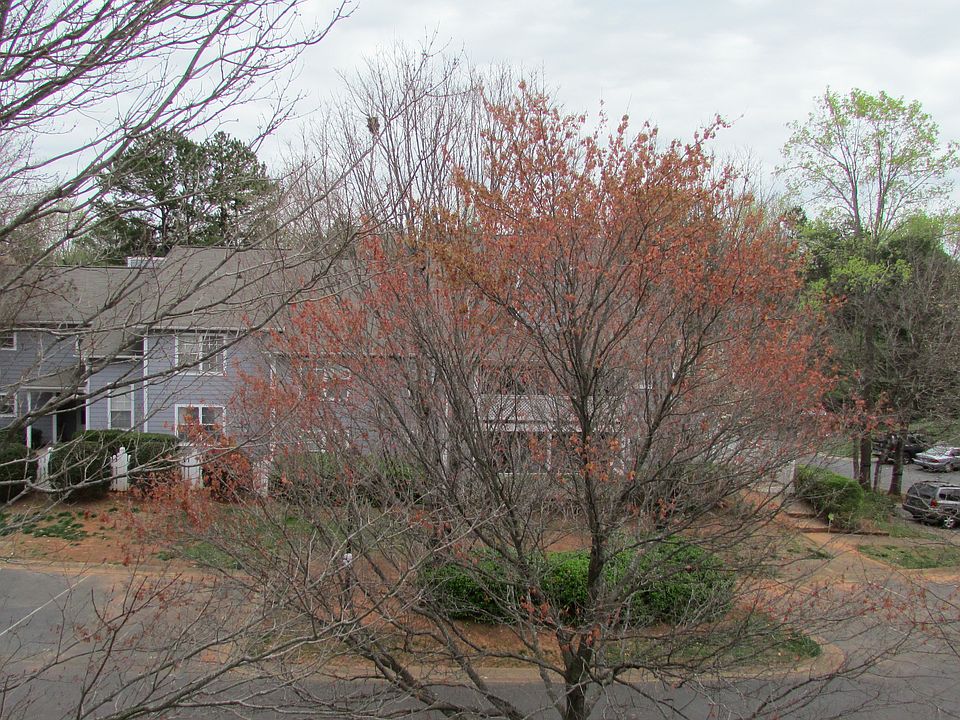 What a great view from the balcony!