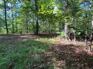 0 Dun Mill Creek Rd, Blue Ridge, GA 30513