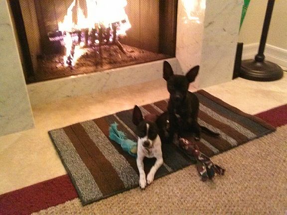 Custom Marble Fireplace