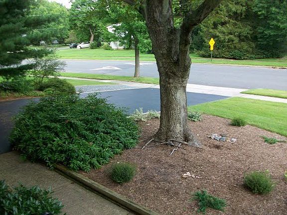 the driveway