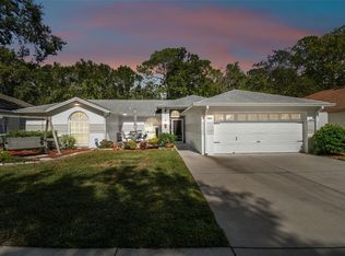 24219 Painter Dr, Land O Lakes, FL 34639