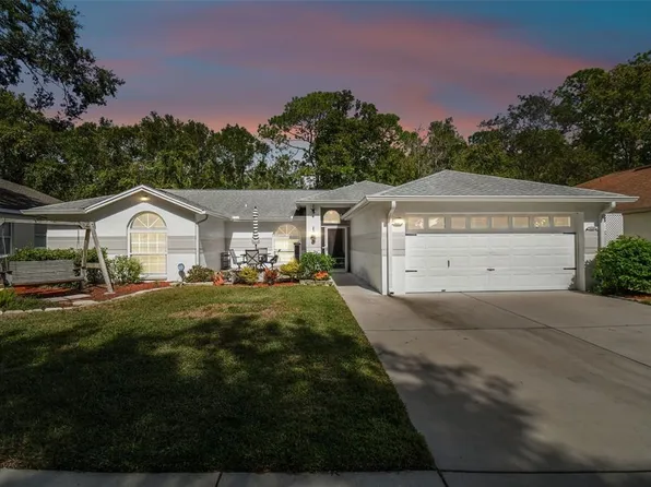 24219 PAINTER DRIVE, LAND O LAKES, FL 34639