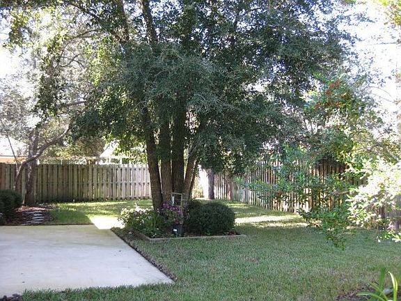 Back yard