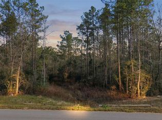 10733 Ruger Rd, Willis, TX 77378